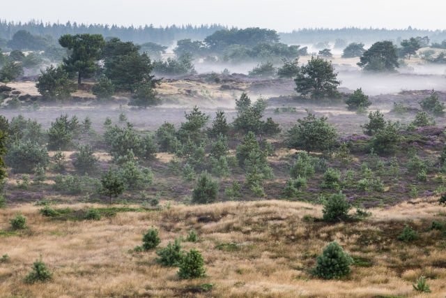 Drents-Friese Wold National Park