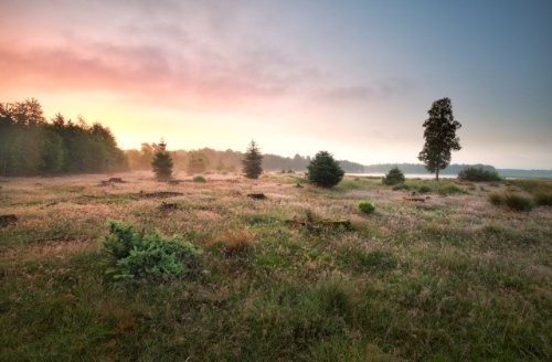 National Parc Dwingelderveld