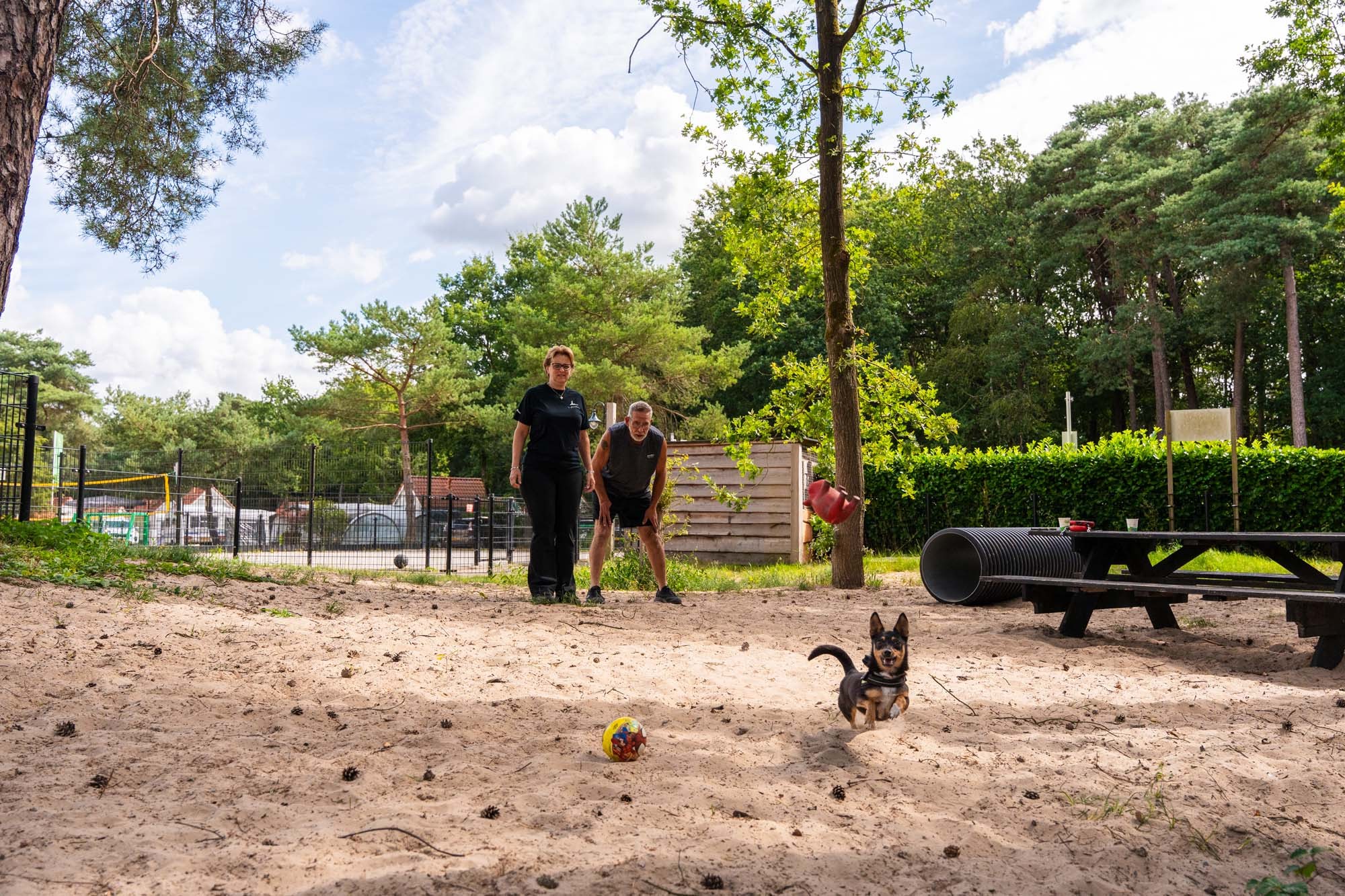 Dog park