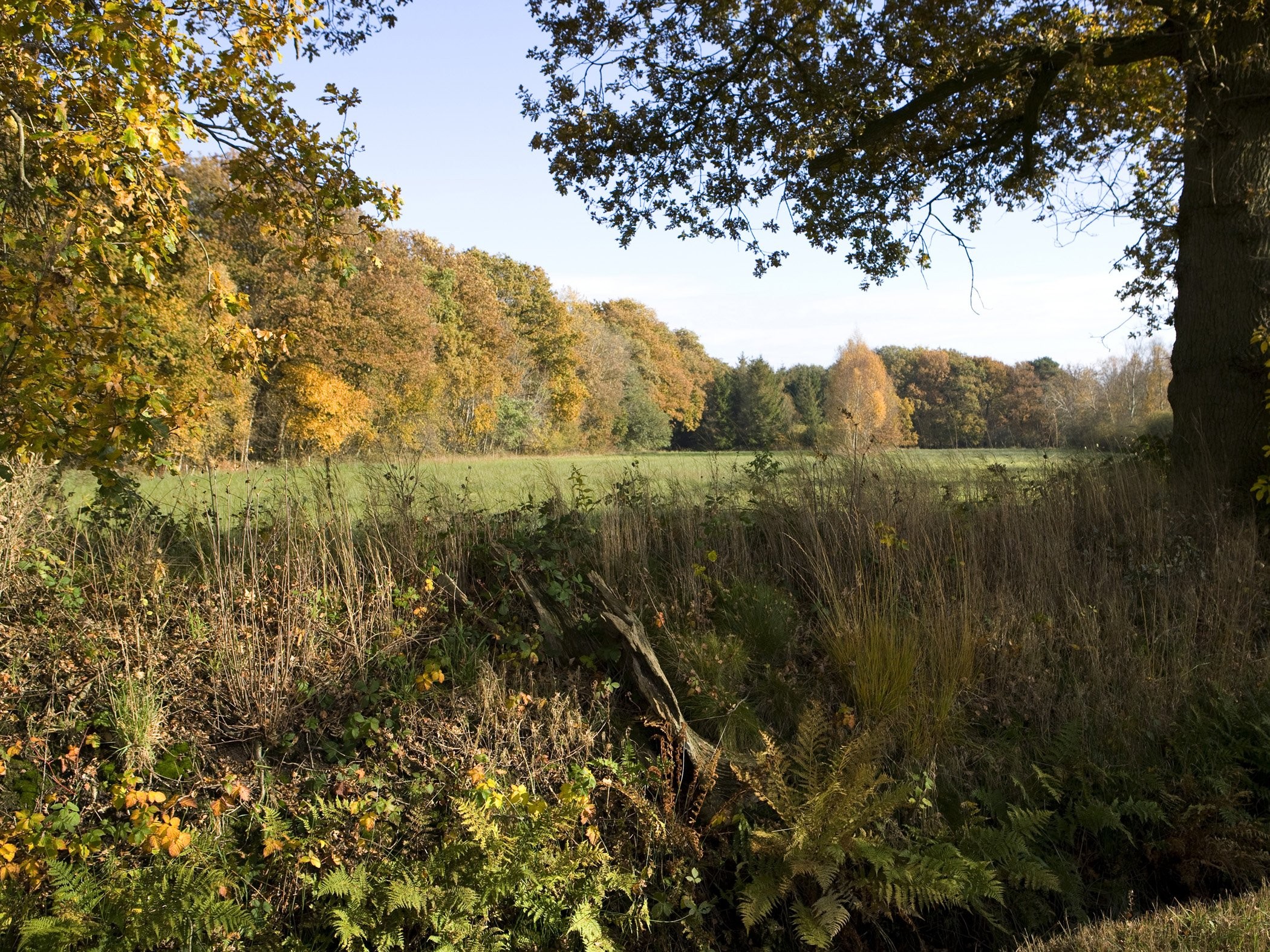 Natuur nationaal park drentsche aa anneke bloema 122