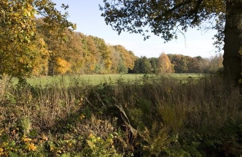 Cycling and walking near Landgoed 't Wildryck