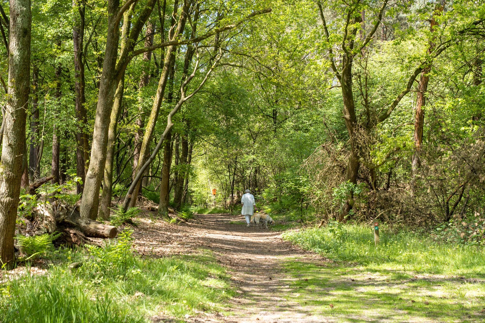 Discover Drenthe